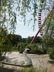 Schwanenboot am Riesenrad