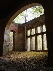 Bäume wachsen durch die Decke