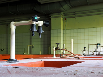 Labor